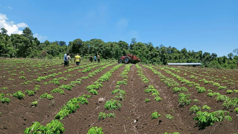 One of the donated tractors being used at the Varivao Ltd holdings farm on Guadalcanal